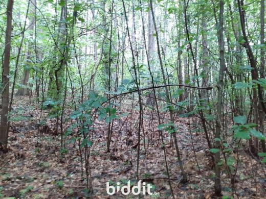 Première photo alternative du bien