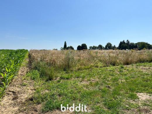 Première photo alternative du bien