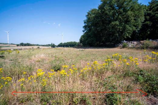 Troisième photo alternative du bien