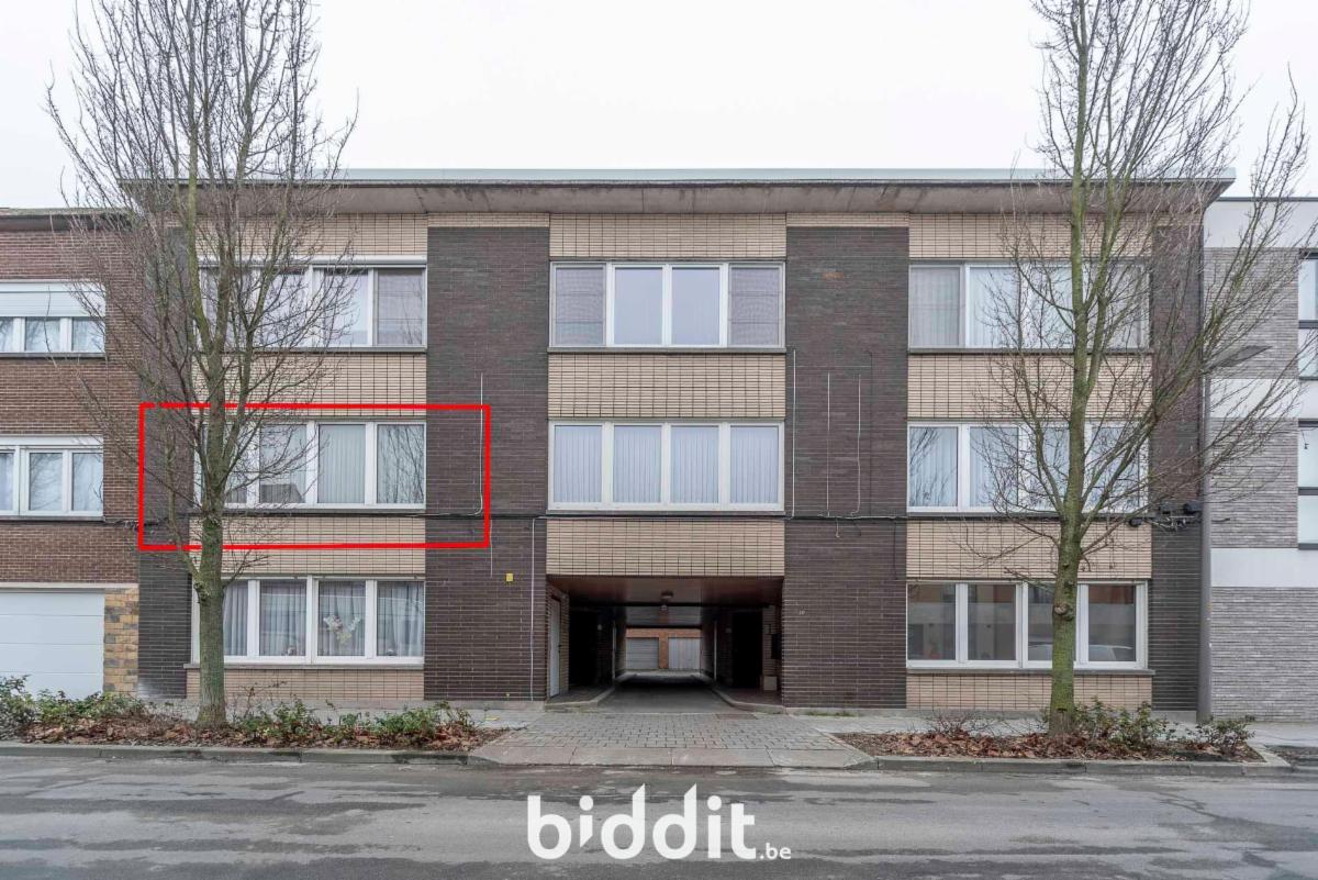 Image de présentation du bien n° 295355