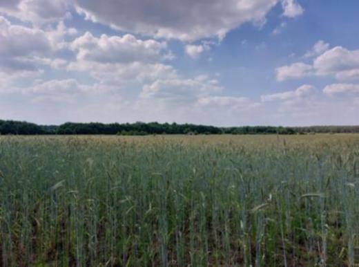 Première photo alternative du bien