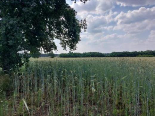 Seconde photo alternative du bien