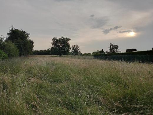 Image de présentation du bien n° 284417