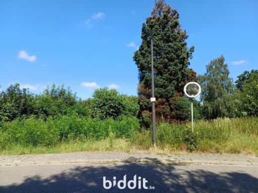 Première photo alternative du bien