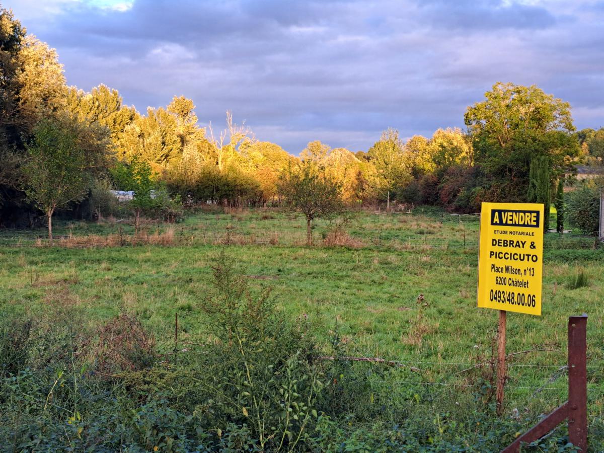 Image de présentation du bien n° 301821