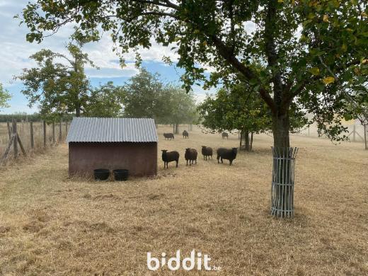 Image de présentation du bien n° 294910