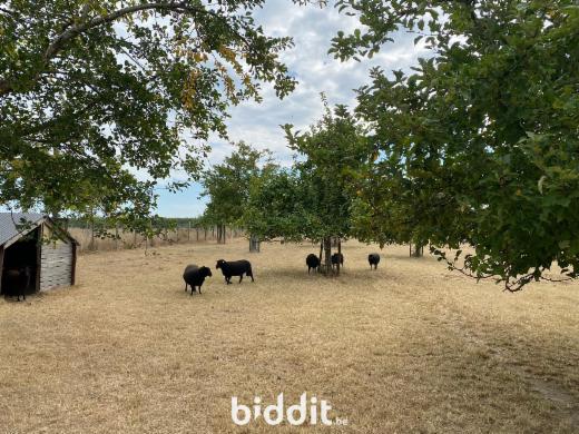 Première photo alternative du bien