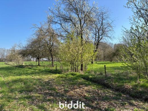 Image de présentation du bien n° 294912