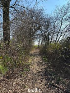 Première photo alternative du bien