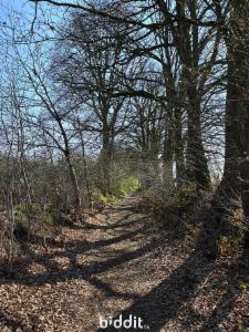 Troisième photo alternative du bien