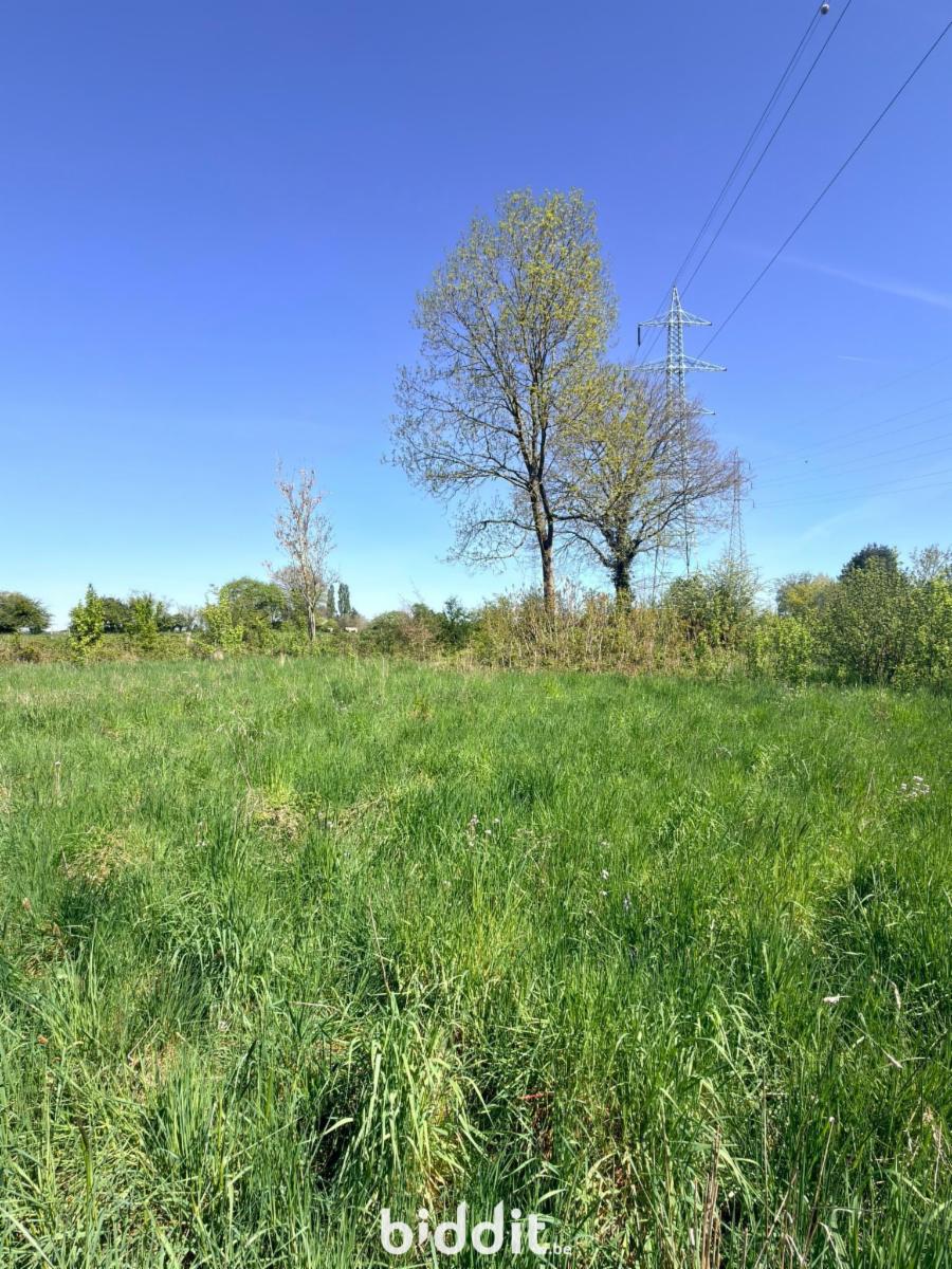 Image de présentation du bien n° 295960