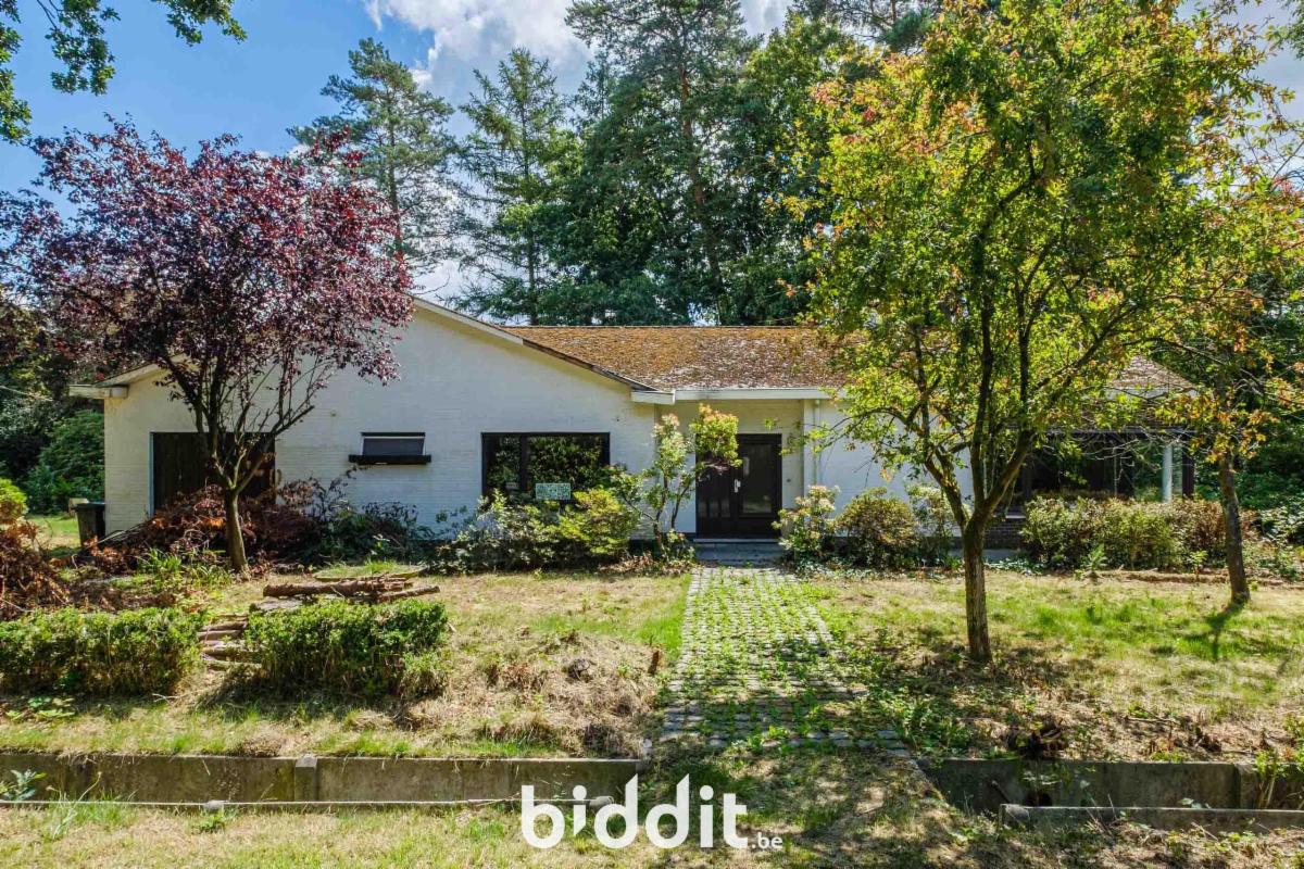 Image de présentation du bien n° 291146