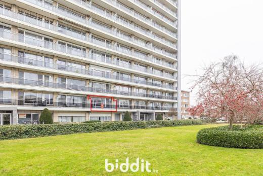 Première photo alternative du bien