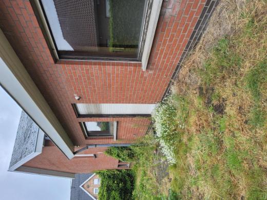 Troisième photo alternative du bien