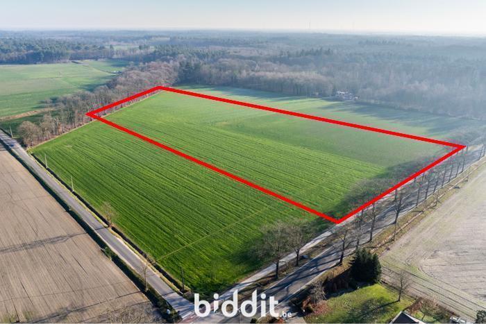 Image de présentation du bien n° 291269