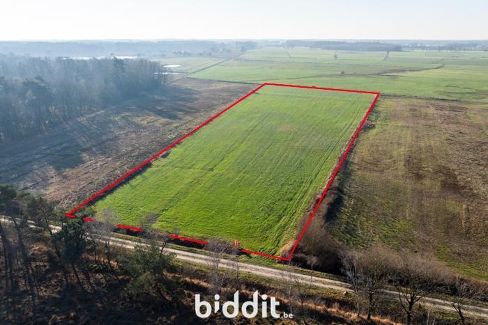 Image de présentation du bien n° 291271