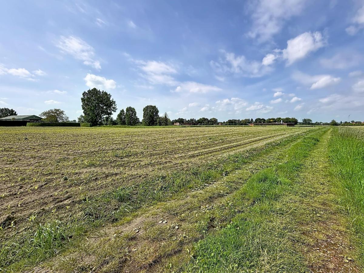 Image de présentation du bien n° 297043
