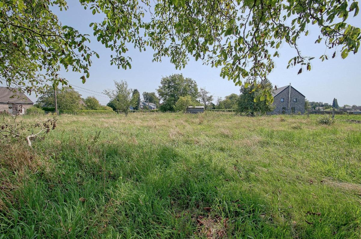 Image de présentation du bien n° 294834