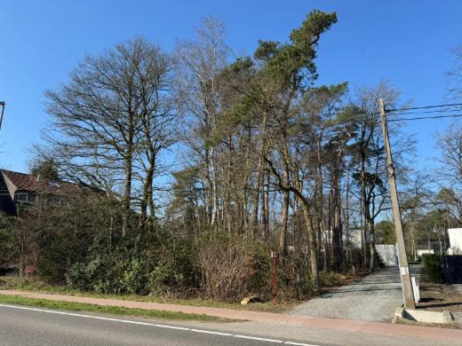 Image de présentation du bien n° 294324