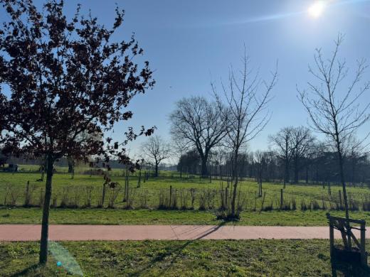 Seconde photo alternative du bien