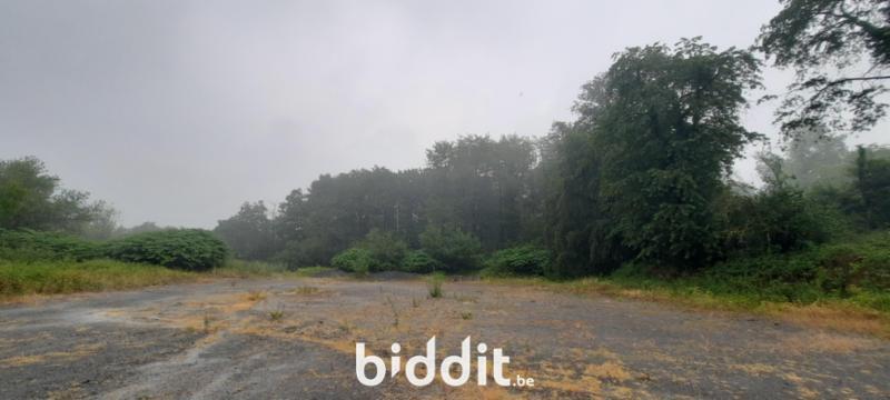 Image de présentation du bien n° 293147