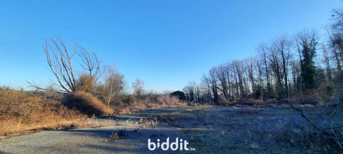 Image de présentation du bien n° 293147