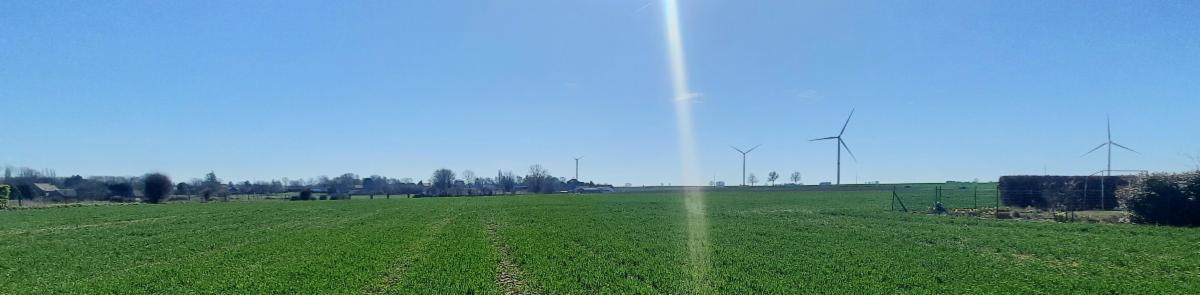 Image de présentation du bien n° 293470