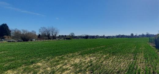 Seconde photo alternative du bien