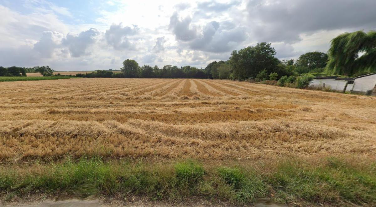 Image de présentation du bien n° 297573