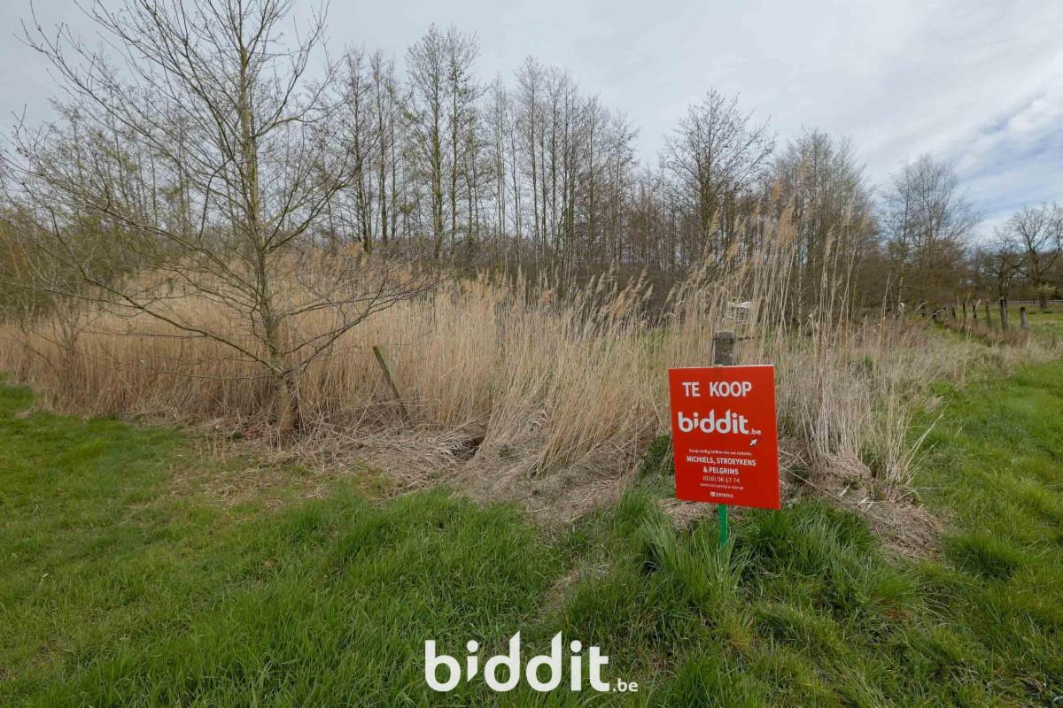 Image de présentation du bien n° 295227