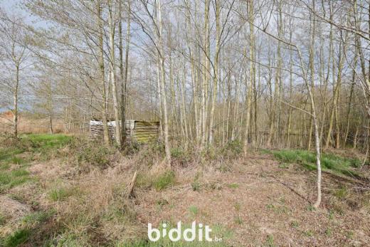 Seconde photo alternative du bien