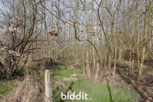 Troisième photo alternative du bien