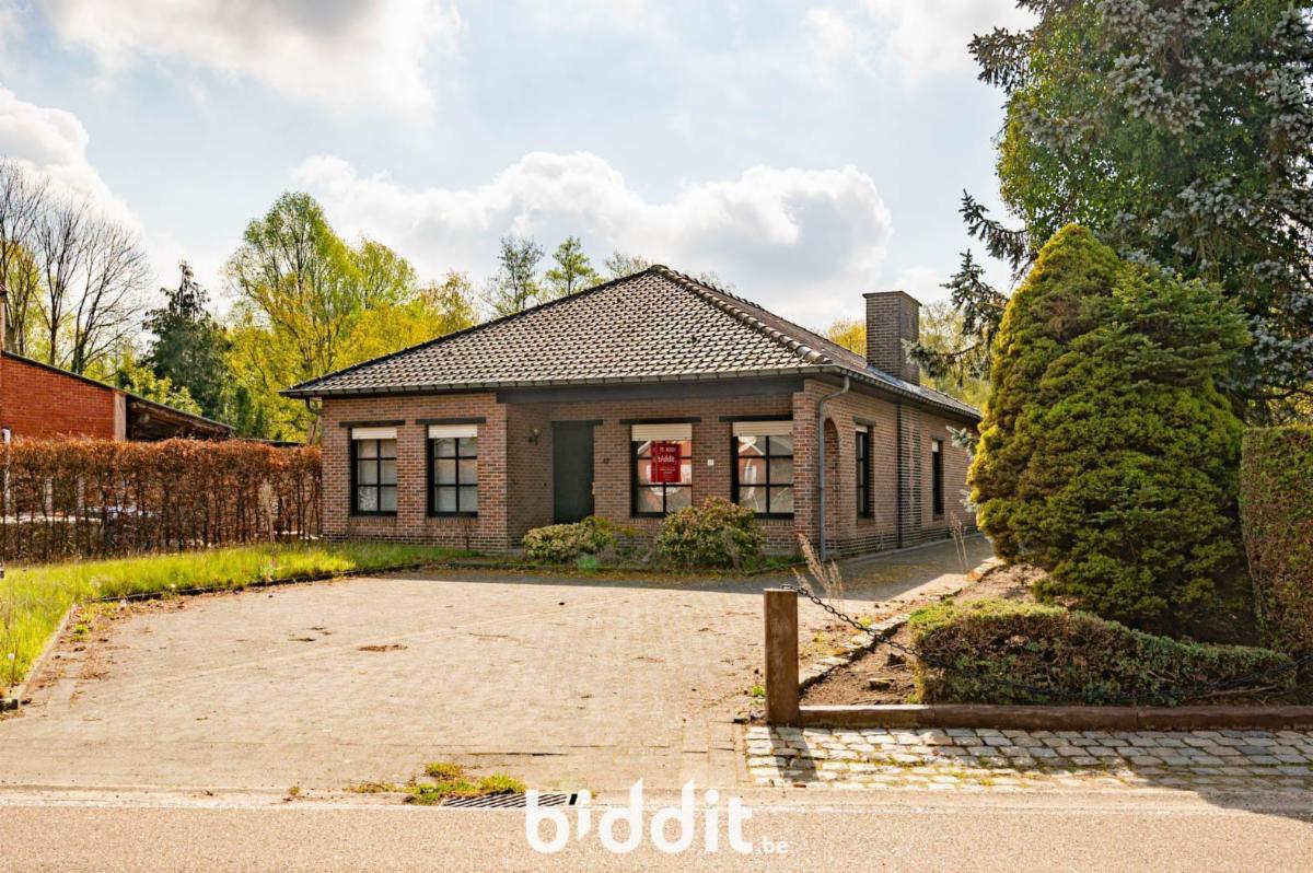 Image de présentation du bien n° 295413