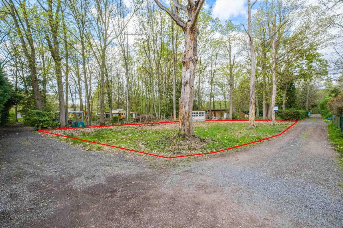 Image de présentation du bien n° 295680