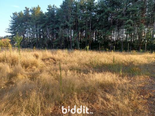 Première photo alternative du bien