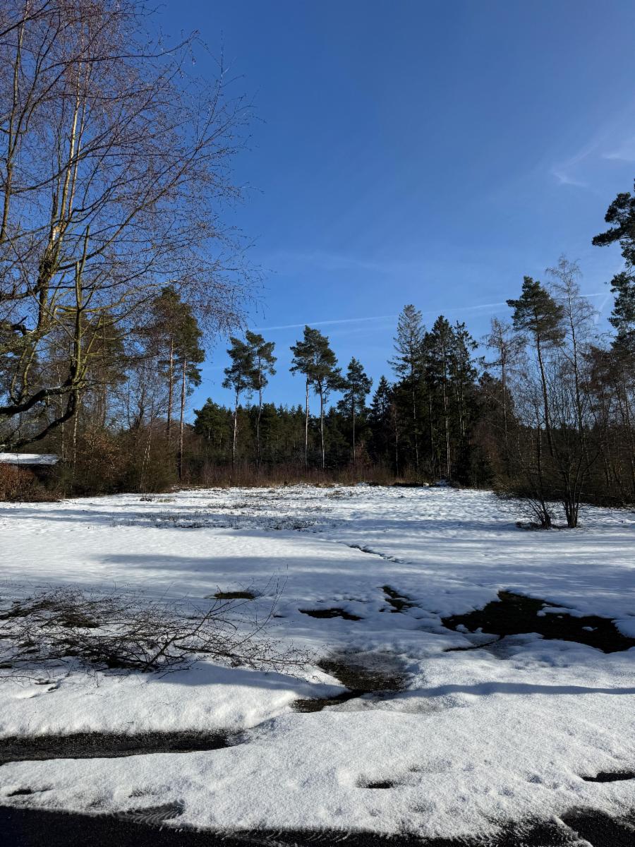 Image de présentation du bien n° 293031