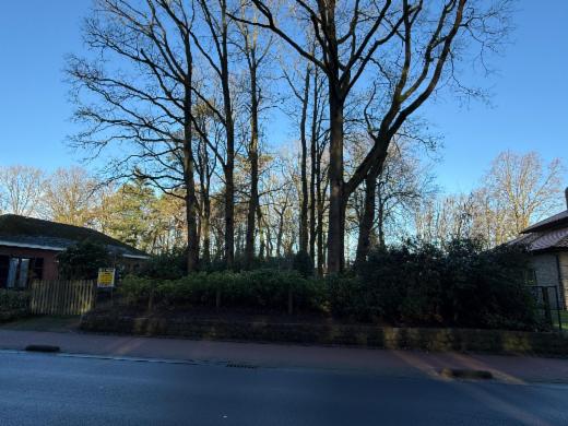 Seconde photo alternative du bien