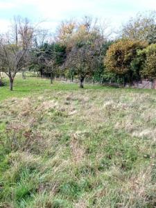 Première photo alternative du bien