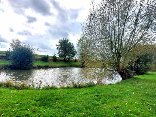 Image de présentation du bien n° 289784