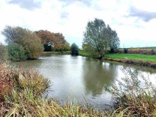 Première photo alternative du bien