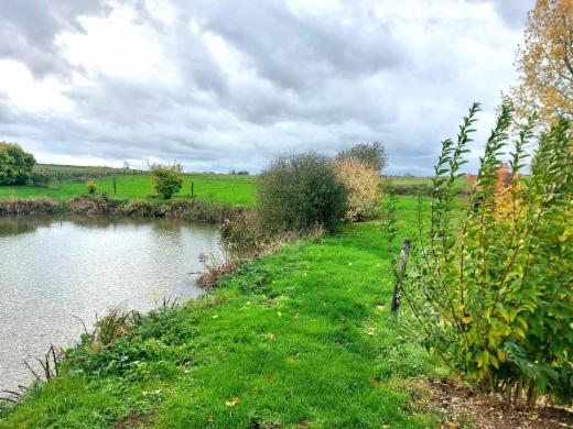 Troisième photo alternative du bien