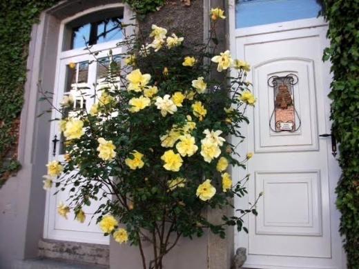 Première photo alternative du bien