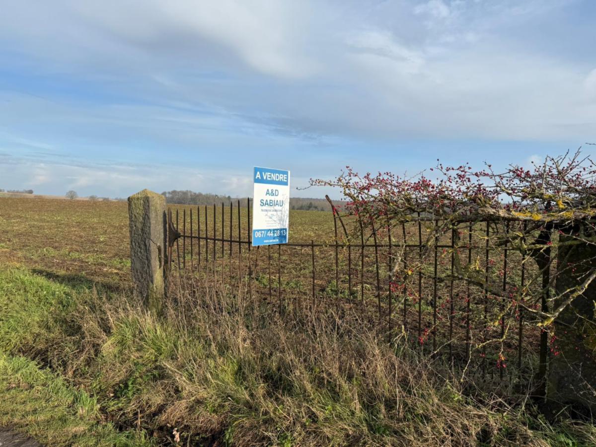 Image de présentation du bien n° 292101