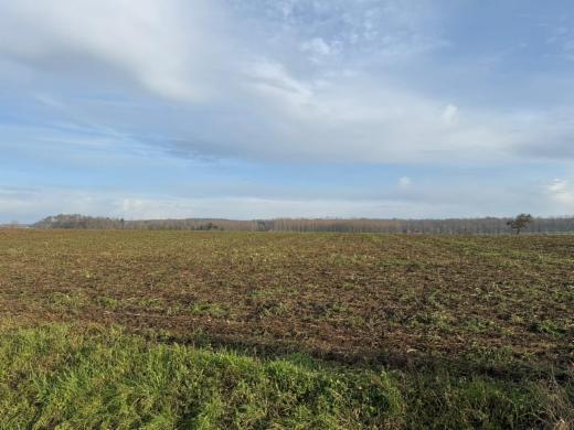 Première photo alternative du bien