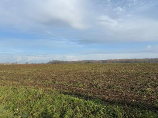 Seconde photo alternative du bien