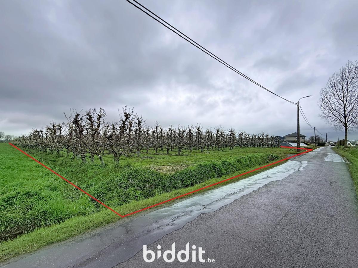 Image de présentation du bien n° 295736