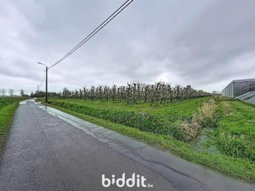 Première photo alternative du bien