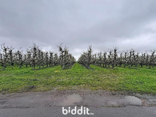 Seconde photo alternative du bien