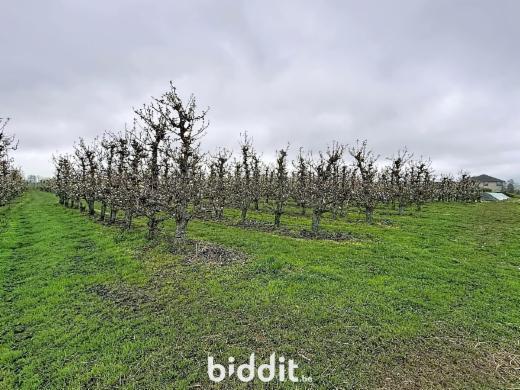 Troisième photo alternative du bien