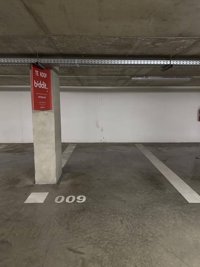 Image de présentation du bien n° 302613